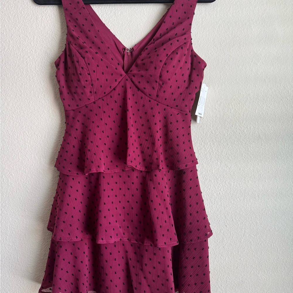 Xtraordinary Burgundy Layered Mini Dress